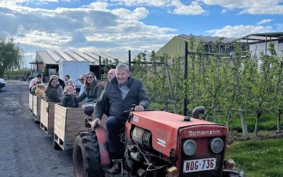Rondleiding met pluktreintje in de fruitgaarden en Smaak van Waas smaakmarkt