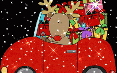 Kerstmarkt Hulst 2024