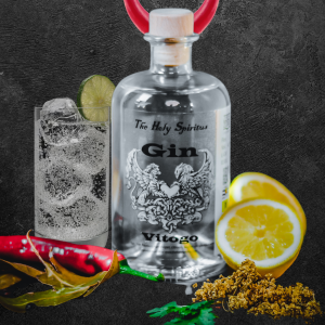 Gin Vitogo 0,50L