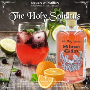 Sloe Gin 0,50L